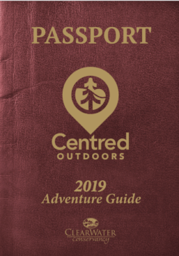 2019