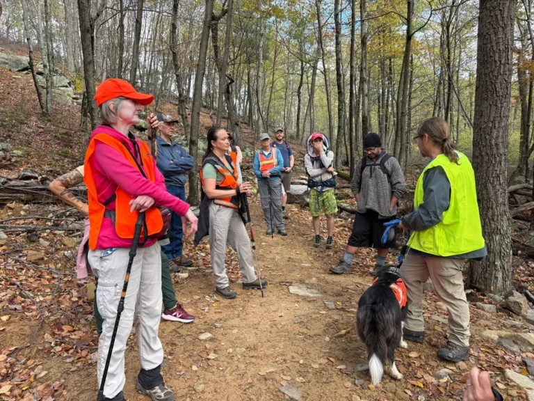 Fall Adventure Hike at Musser Gap