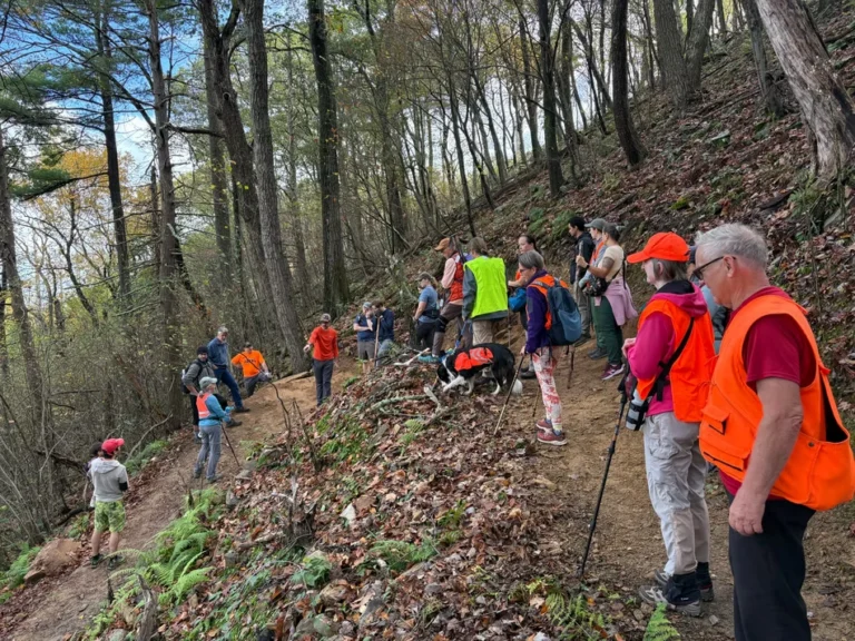 Fall Adventure Hike at Musser Gap