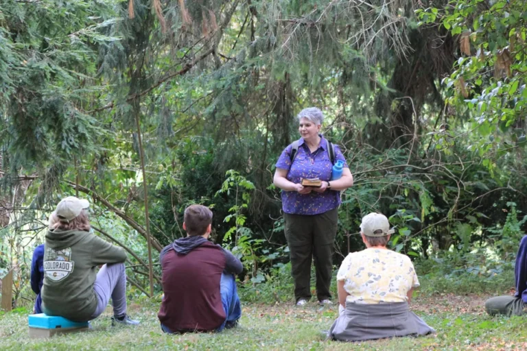 Forest Therapy at Rhoneymeade