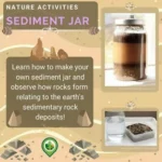 Sediment Jars