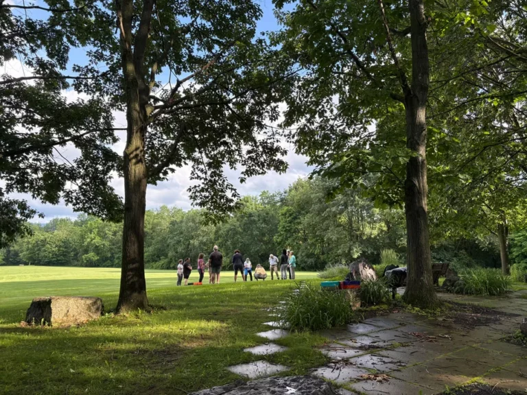 Forest Therapy at Tudek Park