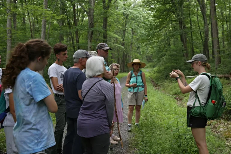 BearMeadows2022_11