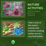 Recyclable Bottle Turtle