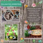 Pollinator Homestead