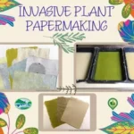 Invasive Plant Papermaking
