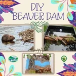 DIY Beaver Dam