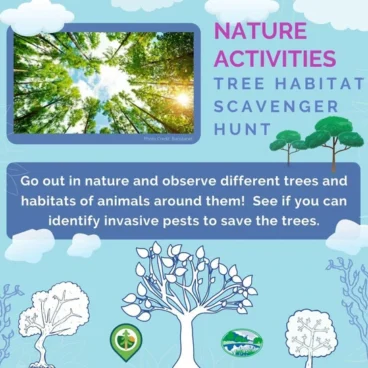 Tree Habitat Scavenger Hunt