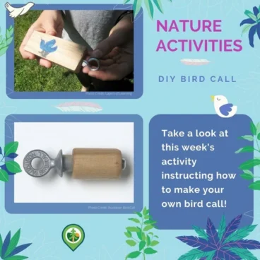 Bird Call
