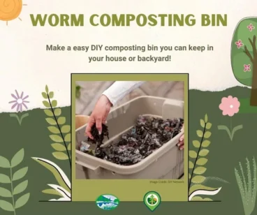 Worm Composting Bin