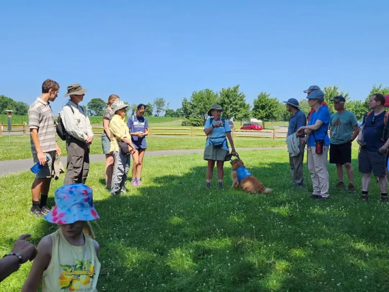 Guided Outing at Patton Woods