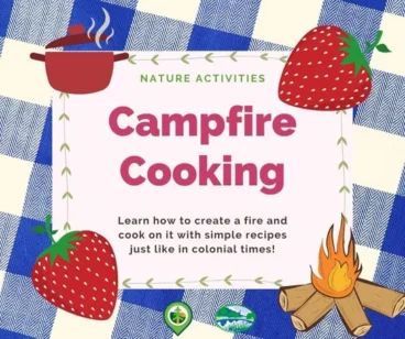 Campfire Cooking