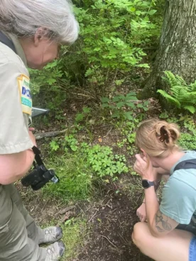 Guided Outing at Prince Gallitzin State Park