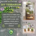 DIY Terrarium