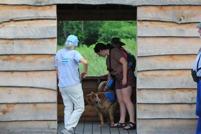 Guided Outing at Soaring Eagle Wetland