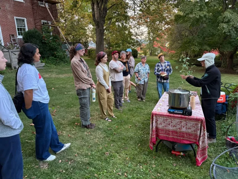 Medicinal Plants at Rhoneymeade