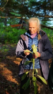 Wellness Wednesday_Jennifer Tucker_Medicinal Plants