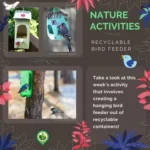 Recyclable Bird Feeders
