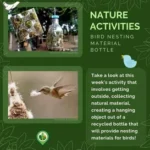 BIrd Nesting Material Bottle