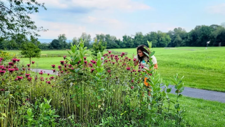 WW Gardening Landscapes_Tudek Park (1)