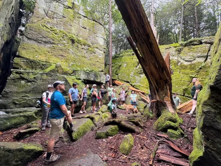 Guided Outing at Bilger's Rocks