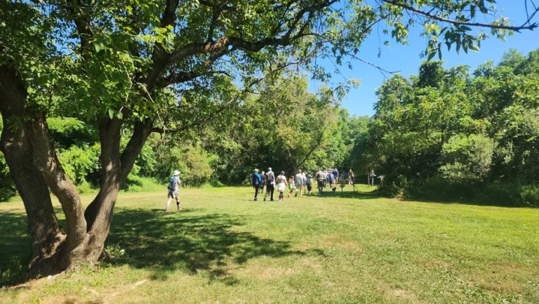 Guided Outing at Bald Eagle State Park