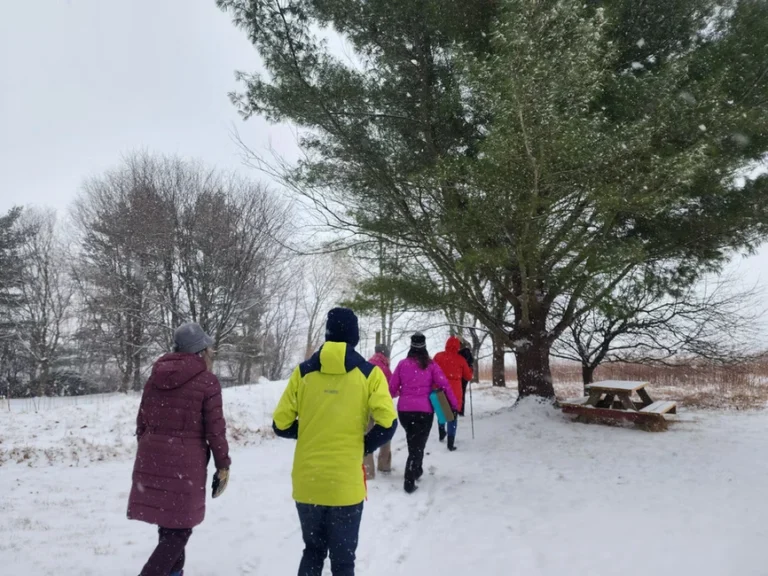 Winter Forest Therapy at Rhoneymeade