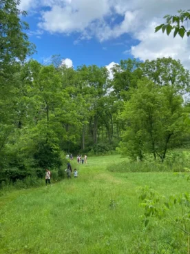 Rhoneymeade Arboretum (8)