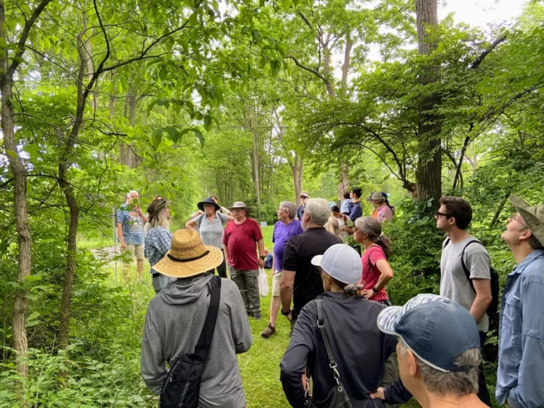 Rhoneymeade Arboretum (5)