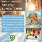 Frozen Suncatcher