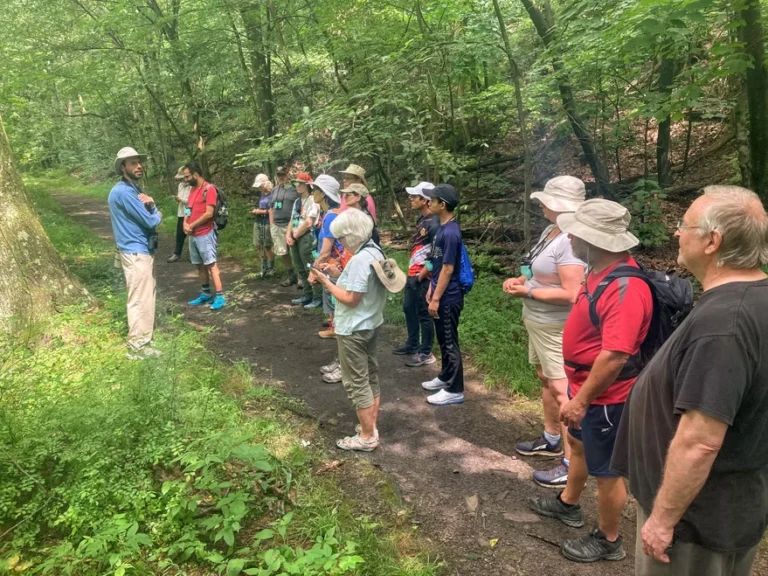 Little Juniata Natural Area (1)
