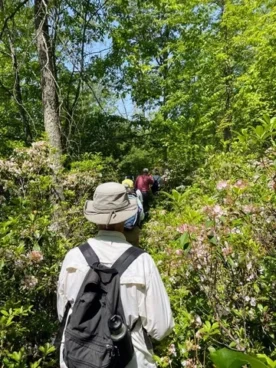 Dutch Alvin Trail (2)