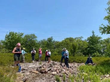 Bald Knob (3)