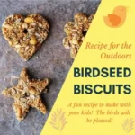 Birdseed Biscuits