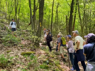 Standing Stone Trail (3)