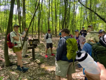 Standing Stone Trail (2)