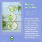 Salt Dough Nature Ornaments